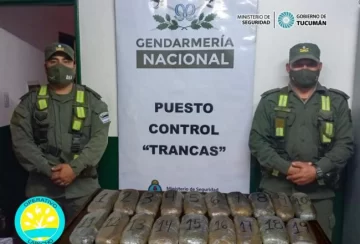 Operativo Lapacho: Secuestran más de 10 kilos de marihuana en el puesto fronterizo de Molle Yaco