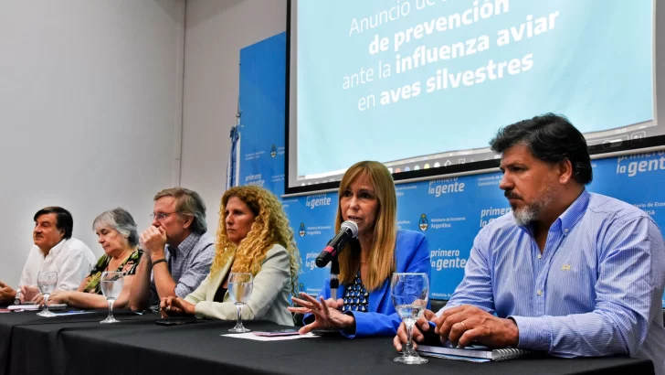 Gripe aviar: cinco recomendaciones para viajar dentro y fuera del país