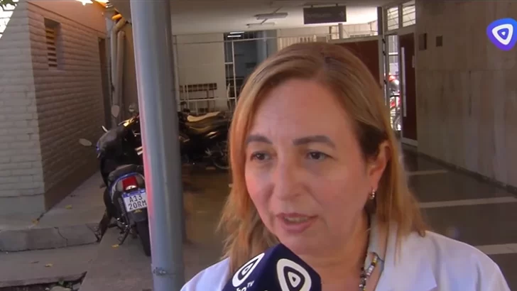 Dengue en Tucumán: se registran más de 6 mil casos positivos y las consultas ascienden a 500 pacientes por día