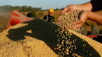Derogaron una medida que imponía topes a la exportación de granos
