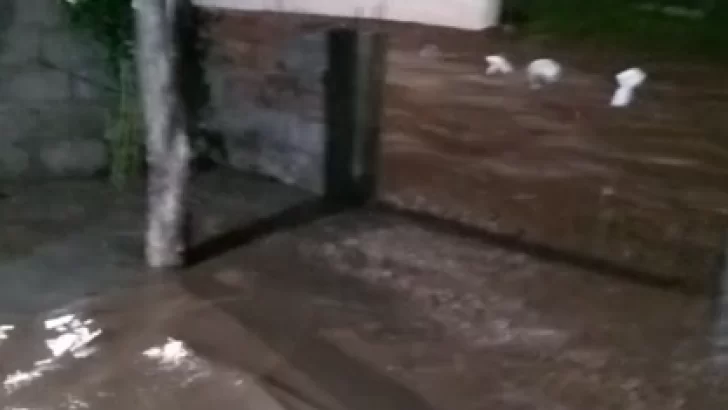 Las lluvias provocaron inundaciones en distintos sectores de la provincia