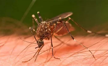 En Lules realizaron un operativo preventivo contra el dengue