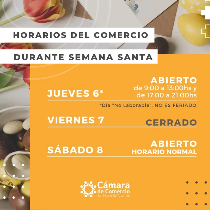 WhatsApp-Image-2023-04-03-at-15.30.02-728x728 WhatsApp-Image-2023-04-03-at-15.30.02-728x728