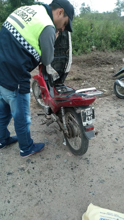 WhatsApp-Image-2023-04-03-at-16.55.14-409x728