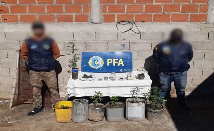 La Policía Federal desarticuló una organización narco criminal La Policía Federal desarticuló una organización narco criminal