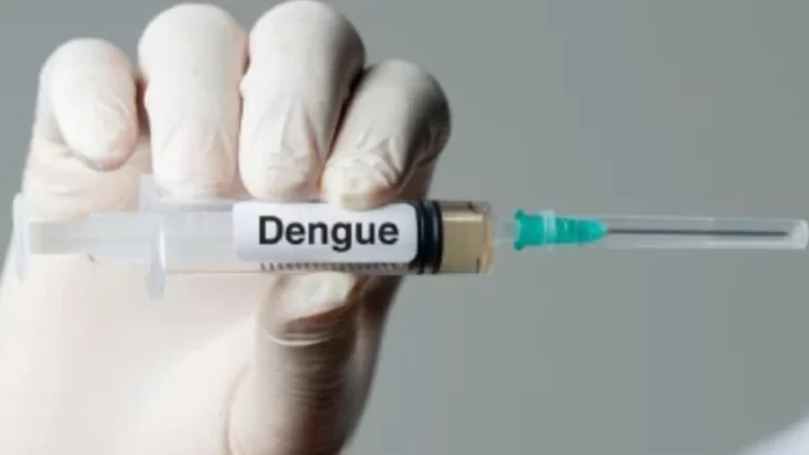 Argentina aprobó la vacuna japonesa contra el dengue: serán dos dosis con intervalo de tres meses