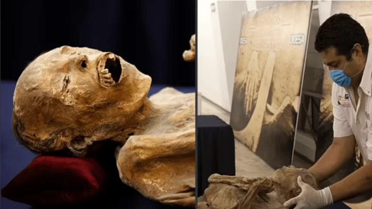 Alerta en México por “crecimientos fúngicos” en una momia de exhibición