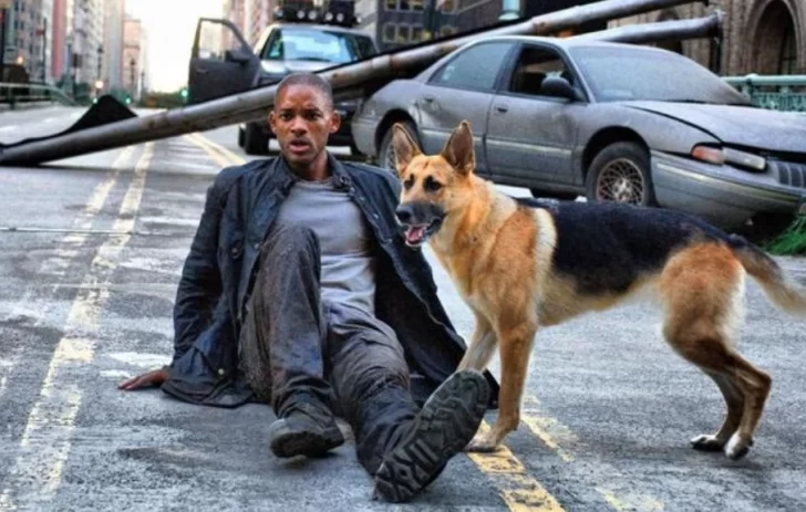Will Smith no pudo adoptar a la perrita de la película Soy Leyenda Will Smith no pudo adoptar a la perrita de la película Soy Leyenda