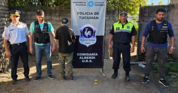 Secuestraron 28 envoltorios de cocaína por narcomenudeo en Alberdi