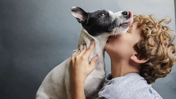 Desde este lunes ofrecerán un servicio gratuito de castración de mascotas en el barrio Obispo Piedrabuena