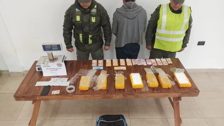 Gendarmería Nacional secuestró cocaína en un colectivo de larga distancia