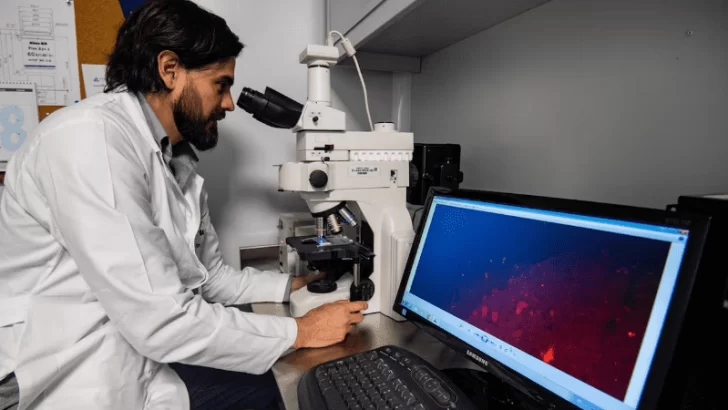 Científicos del Conicet consiguieron un gran avance en la lucha contra el cáncer Científicos del Conicet consiguieron un gran avance en la lucha contra el cáncer