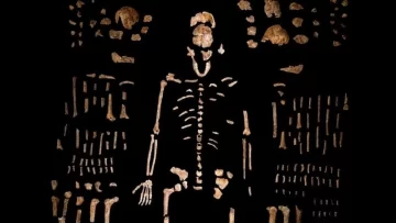 humanos.jpg_695311890-728x410