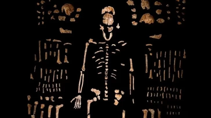 humanos.jpg_695311890-728x410