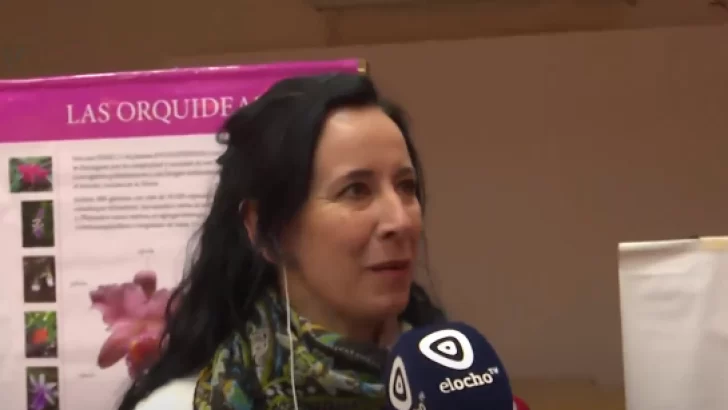 Actividades para disfrutar durante las vacaciones de invierno