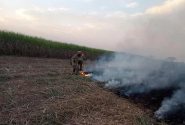 Autoridades gubernamentales admitieron el incremento de la quema de pastizales en Tucumán