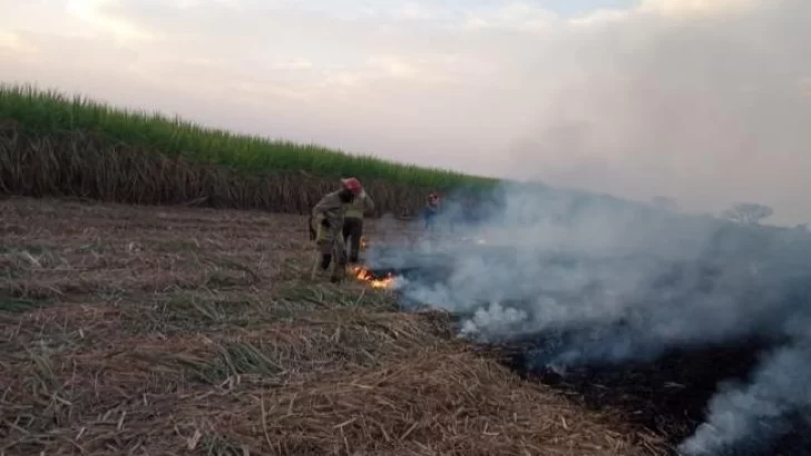 Autoridades gubernamentales admitieron el incremento de la quema de pastizales en Tucumán