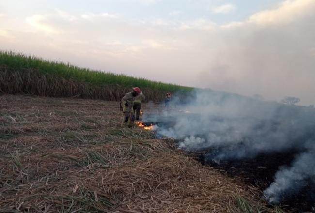Autoridades gubernamentales admitieron el incremento de la quema de pastizales en Tucumán