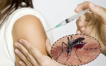 La vacuna contra el dengue podría llegar el último trimestre del año a nuestro país