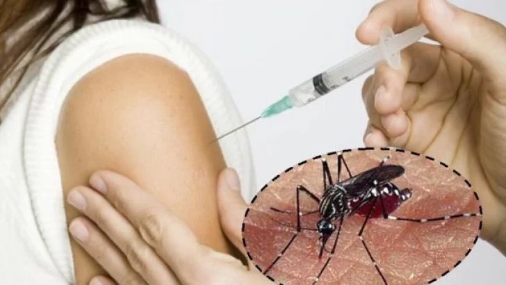 La vacuna contra el dengue podría llegar el último trimestre del año a nuestro país