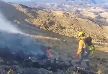 Brigadistas forestales sofocaron un incendio en Chasquivil Brigadistas forestales sofocaron un incendio en Chasquivil