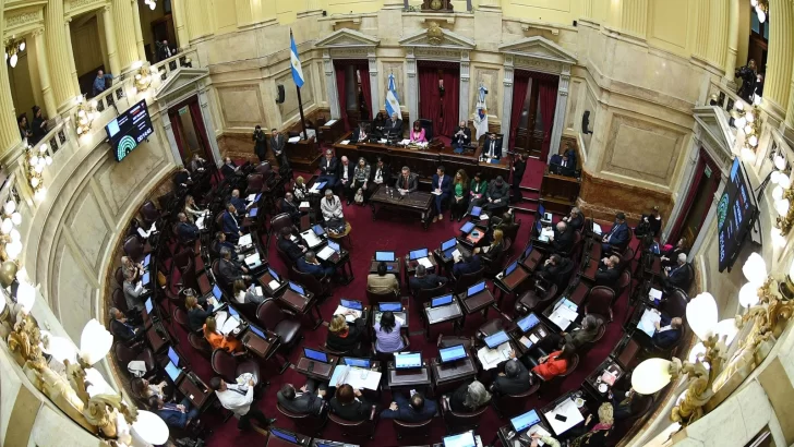 El Senado postergó las sesiones antes de las PASO por prioridades electorales