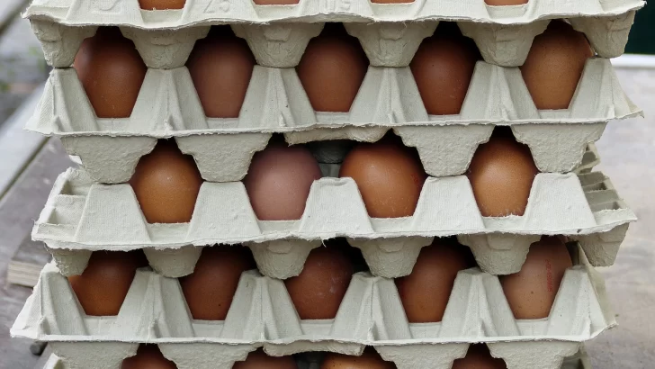 Duro golpe a la mesa de los tucumanos: se produjo un fuerte aumento en el precio del huevo