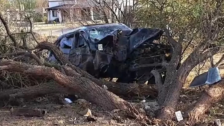Un auto impactó violentamente contra un árbol en la Ruta 307