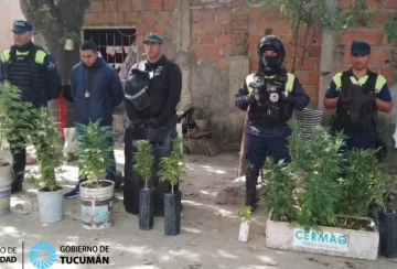 Secuestraron 100 ravioles de cocaína y 20 plantas de marihuana en un allanamiento en Tafí Viejo