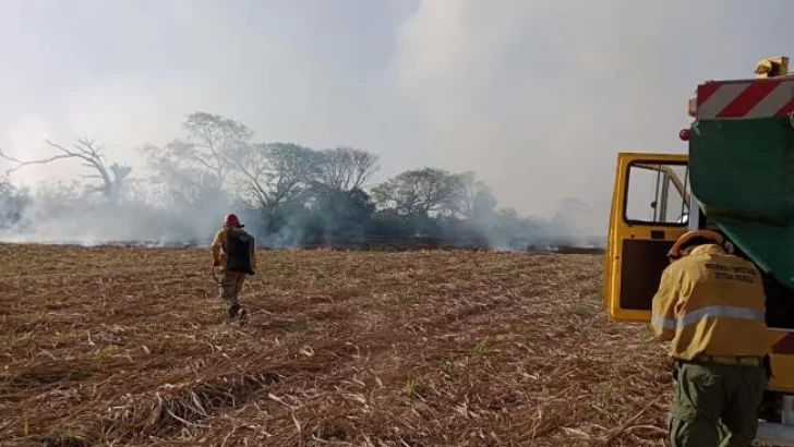 Ranchillos: Defensa Civil junto a los bomberos voluntarios lograron sofocar un incendio de rastrojos de caña