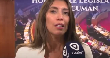 Los vicegobernadores del NOA analizaron medidas para la región y criticaron a Milei Los vicegobernadores del NOA analizaron medidas para la región y criticaron a Milei