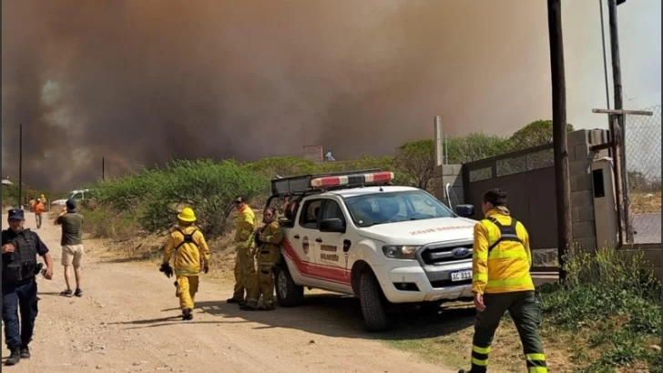 281611_crop1696967495440.jpg_1756841869-728x410