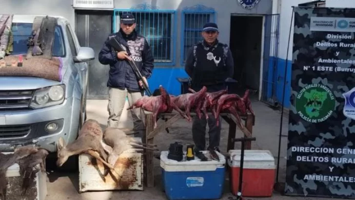 Secuestran armas empleadas en la caza furtiva