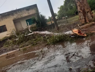 El Gobierno provincial trabaja en las zonas afectadas por la tormenta y los fuertes vientos