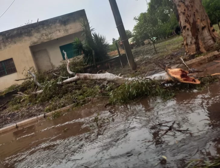 El Gobierno provincial trabaja en las zonas afectadas por la tormenta y los fuertes vientos