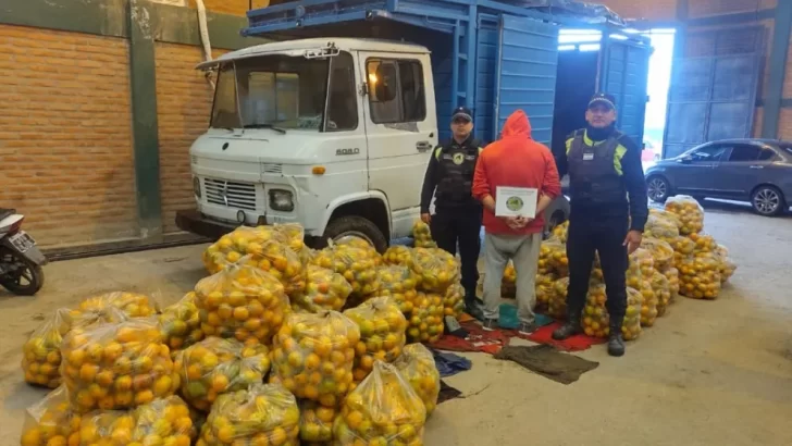 La Policía detuvo a un sujeto que casi vuelca con un camión mientras robaba naranjas