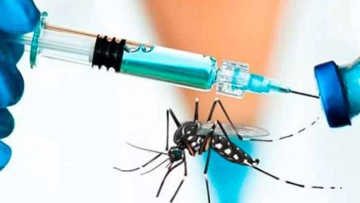 La vacuna contra el dengue llegaría la próxima semana a Tucumán