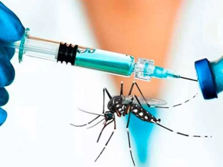 La vacuna contra el dengue llegaría la próxima semana a Tucumán