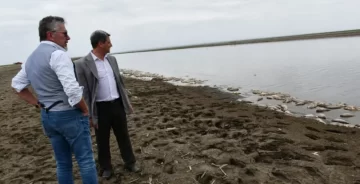 Investigan el origen de la muerte de miles de peces en la cuenca Salí-Dulce Investigan el origen de la muerte de miles de peces en la cuenca Salí-Dulce