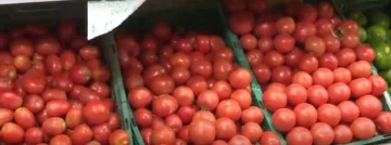 Registraron un importante incremento en el precio del tomate