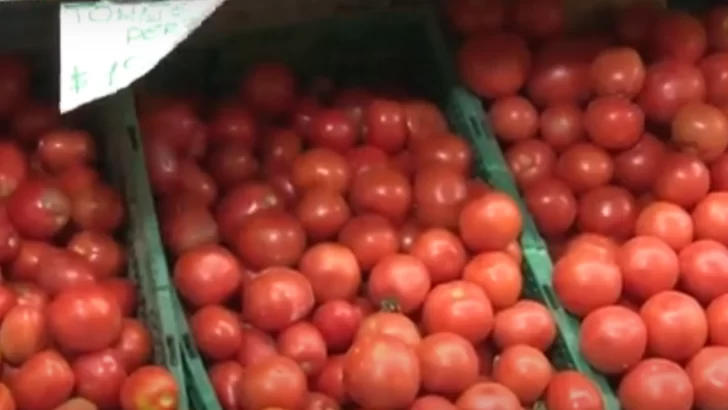 Registraron un importante incremento en el precio del tomate