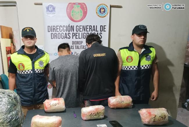 Incautan 12 kilos de marihuana que eran transportadas como encomiendas