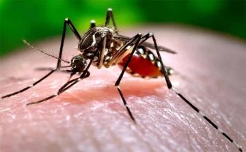 Confirmaron un nuevo caso de dengue en la provincia