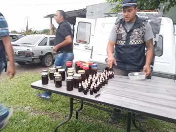 Encontraron un vivero con 120 plantas de marihuana y aceite de cannabis en Lules
