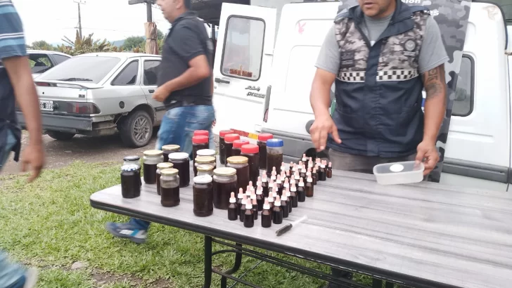 Encontraron un vivero con 120 plantas de marihuana y aceite de cannabis en Lules