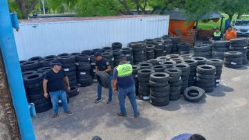 Operativo Lapacho: secuestraron más de 800 cubiertas en un puesto fronterizo