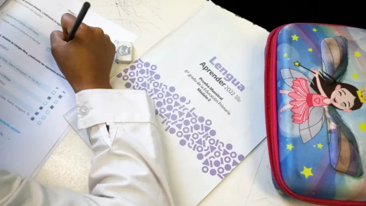 Pruebas Aprender: casi la mitad de los estudiantes argentinos no pasó el examen de matemática