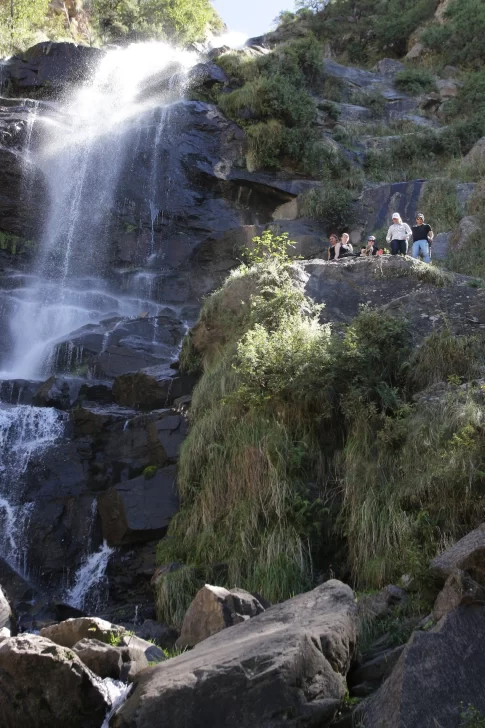 Cascada-Los-Alisos-3-485x728 Cascada-Los-Alisos-3-485x728