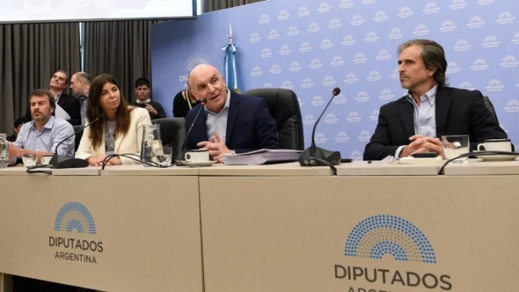 Conformaron las comisiones en Diputados y Milei le dio la bienvenida a Espert