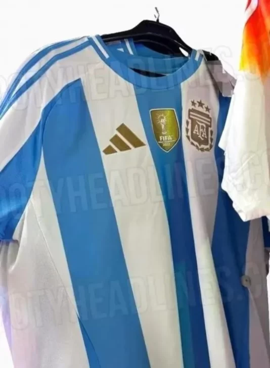 nueva_camiseta.jpg_265814588-534x728